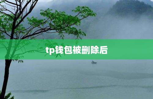 tp钱包被删除后