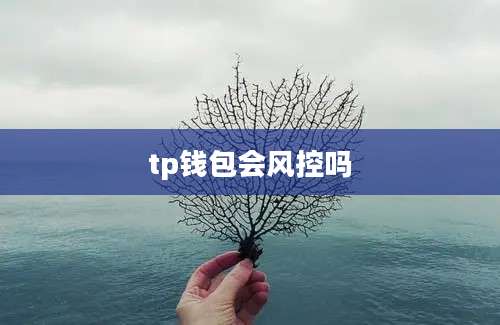 tp钱包会风控吗