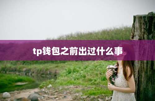 tp钱包之前出过什么事