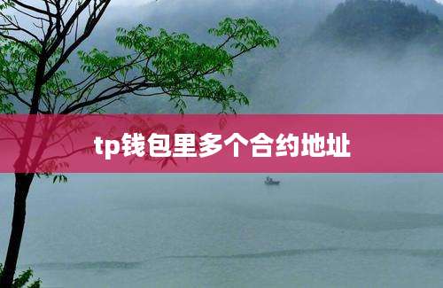 tp钱包里多个合约地址