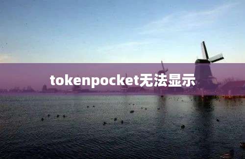 tokenpocket无法显示
