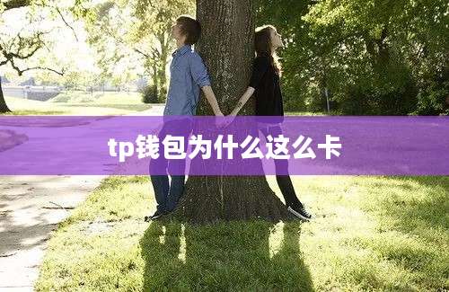 tp钱包为什么这么卡