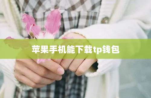 苹果手机能下载tp钱包