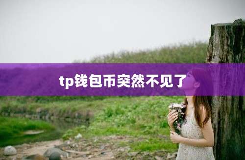 tp钱包币突然不见了