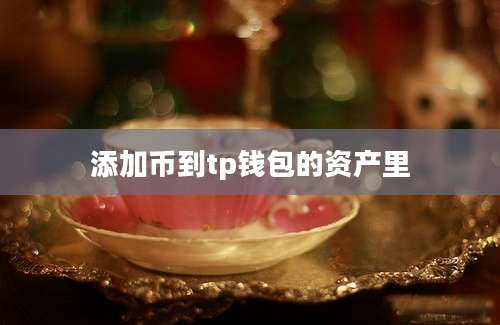 添加币到tp钱包的资产里