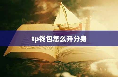 tp钱包怎么开分身