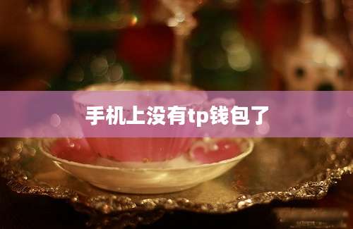 手机上没有tp钱包了