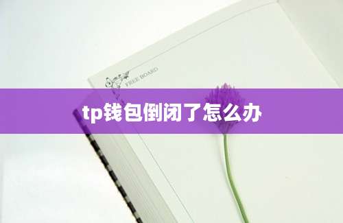 tp钱包倒闭了怎么办