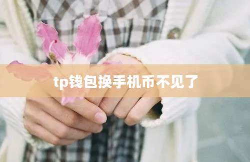 tp钱包换手机币不见了