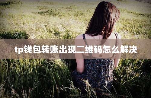 tp钱包转账出现二维码怎么解决
