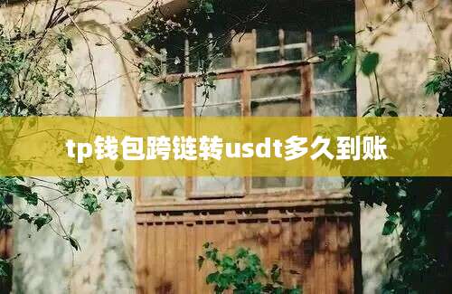 tp钱包跨链转usdt多久到账