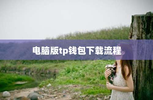 电脑版tp钱包下载流程