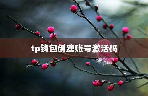 tp钱包创建账号激活码