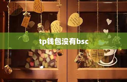 tp钱包没有bsc