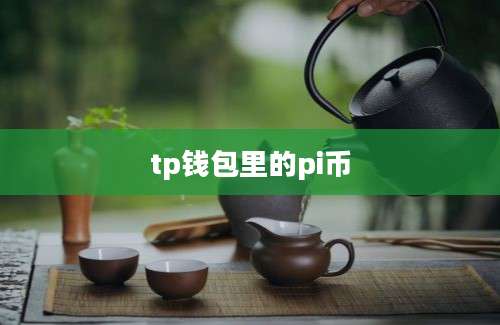tp钱包里的pi币