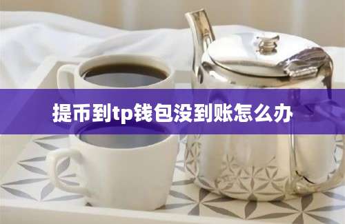 提币到tp钱包没到账怎么办