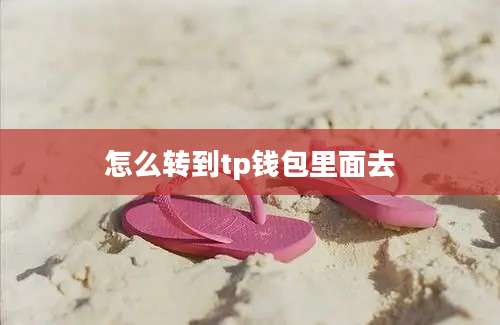 怎么转到tp钱包里面去