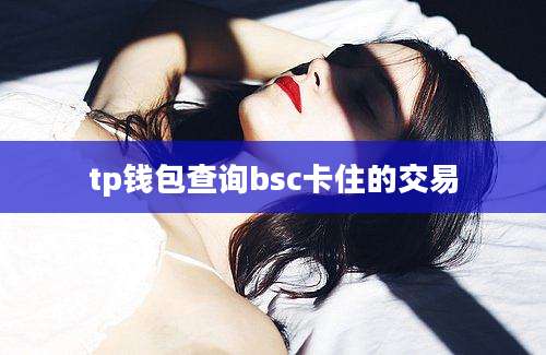 tp钱包查询bsc卡住的交易