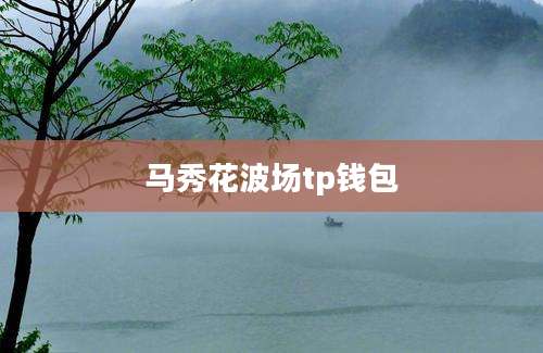 马秀花波场tp钱包