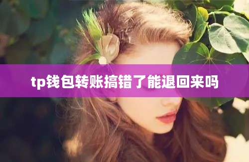 tp钱包转账搞错了能退回来吗