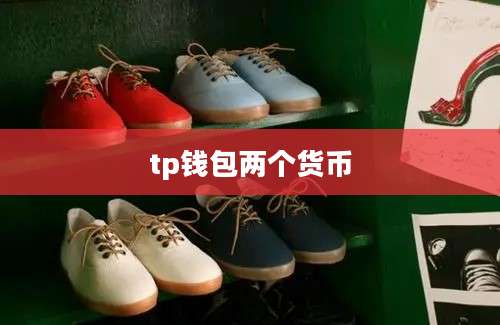 tp钱包两个货币