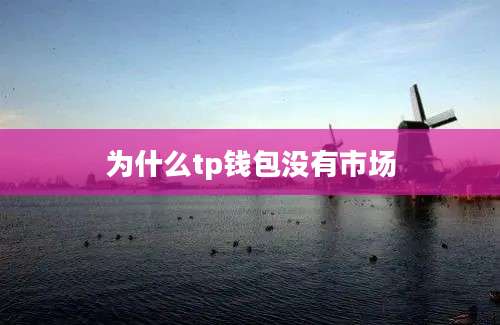 为什么tp钱包没有市场
