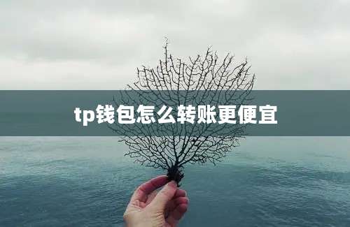 tp钱包怎么转账更便宜