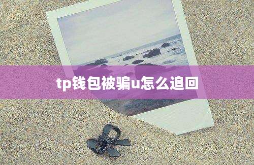 tp钱包被骗u怎么追回