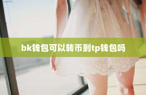 bk钱包可以转币到tp钱包吗