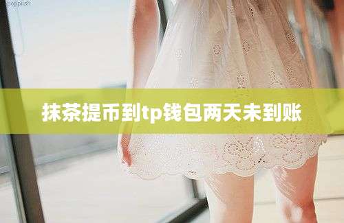 抹茶提币到tp钱包两天未到账