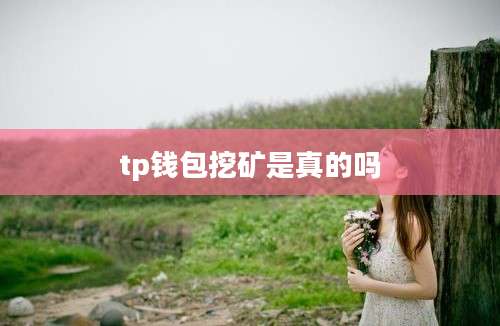 tp钱包挖矿是真的吗