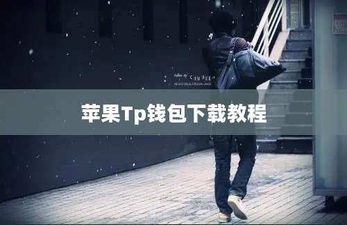苹果Tp钱包下载教程