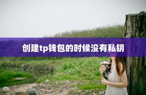 创建tp钱包的时候没有私钥