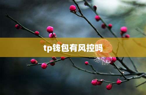 tp钱包有风控吗