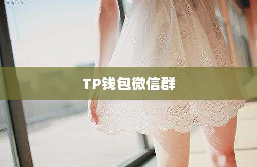TP钱包微信群