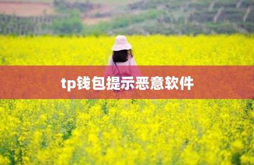 tp钱包提示恶意软件
