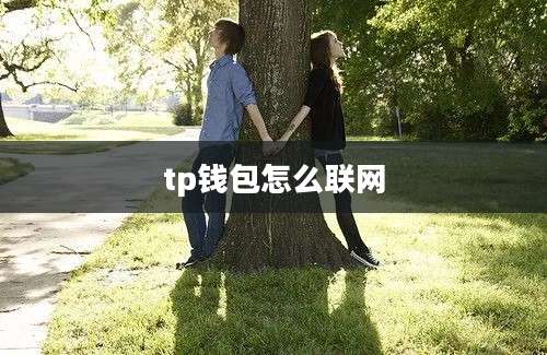 tp钱包怎么联网