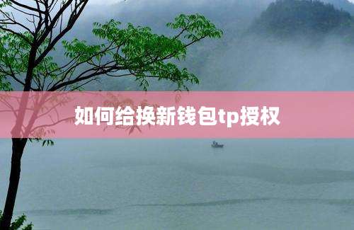如何给换新钱包tp授权