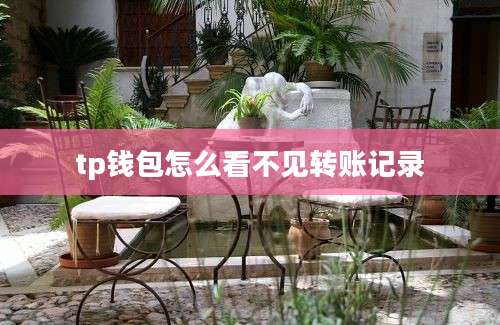 tp钱包怎么看不见转账记录
