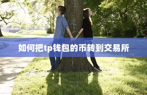 如何把tp钱包的币转到交易所