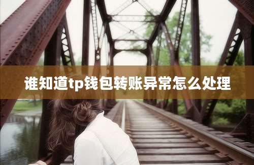 谁知道tp钱包转账异常怎么处理