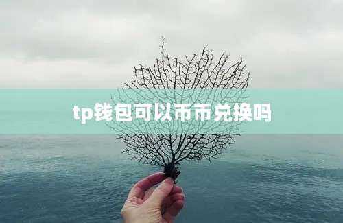 tp钱包可以币币兑换吗