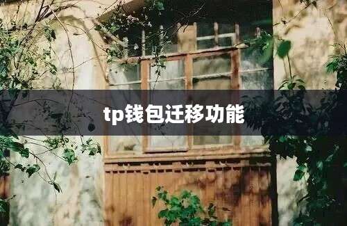 tp钱包迁移功能