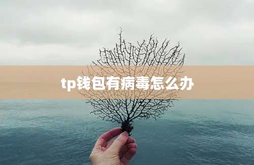 tp钱包有病毒怎么办