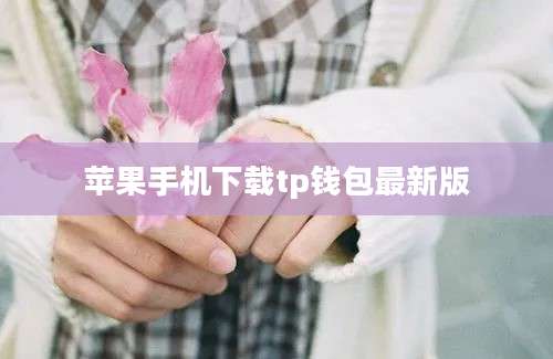 苹果手机下载tp钱包最新版