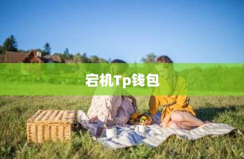 宕机Tp钱包