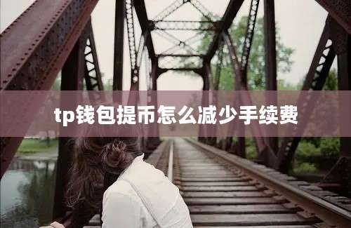 tp钱包提币怎么减少手续费