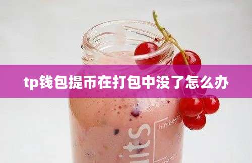 tp钱包提币在打包中没了怎么办