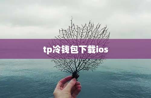 tp冷钱包下载ios