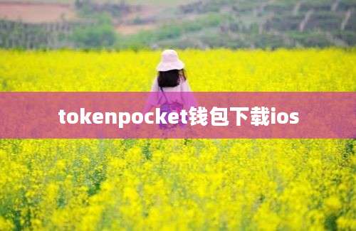tokenpocket钱包下载ios